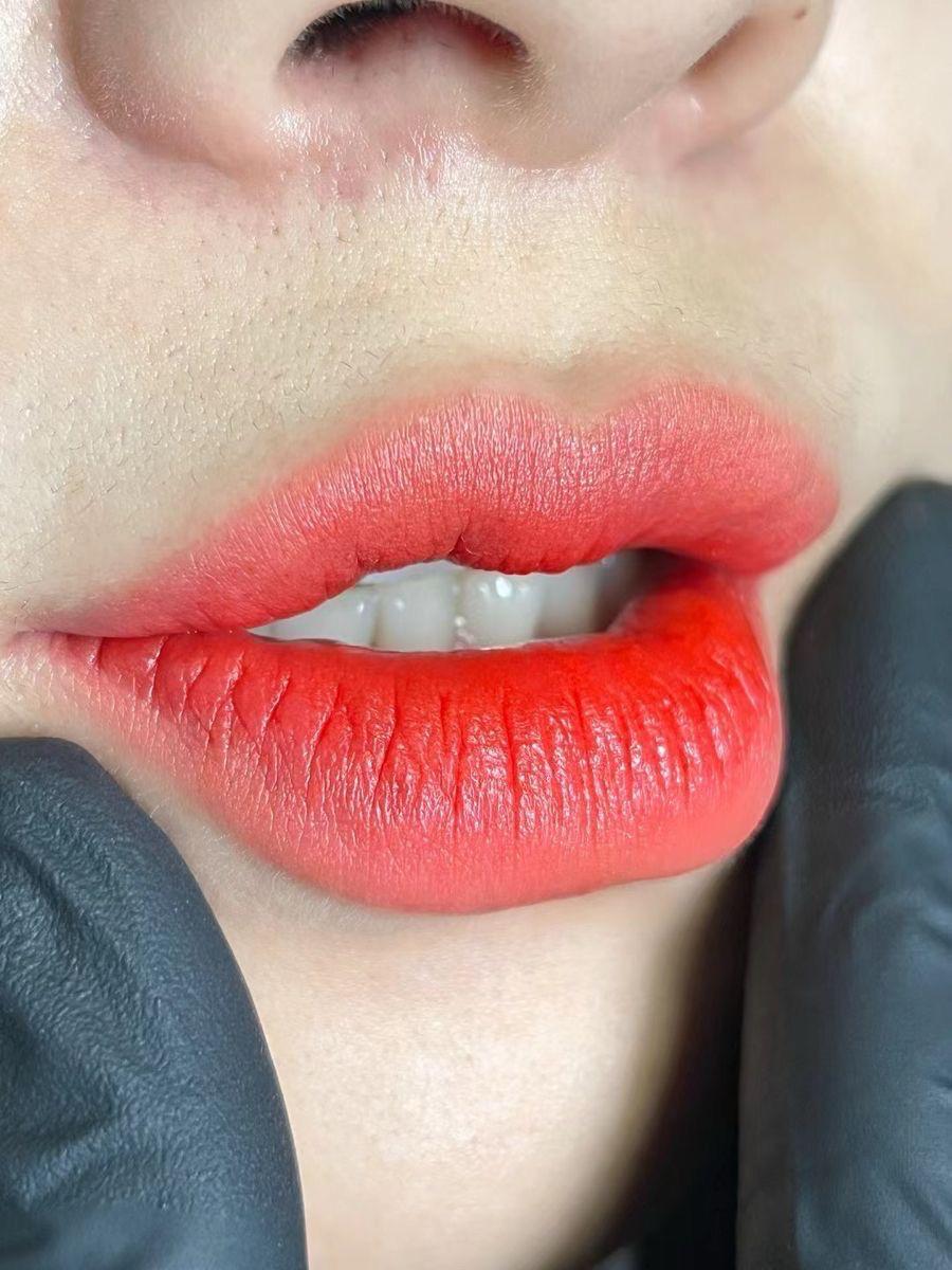 Microlips Micropigmentación de Labios LISALASH STUDIO Houston
