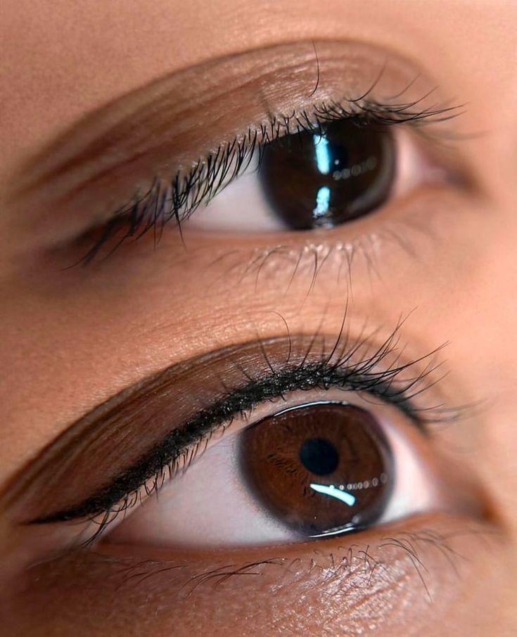 Micropigmentación de delineado de ojos — LISALASH STUDIO Houston